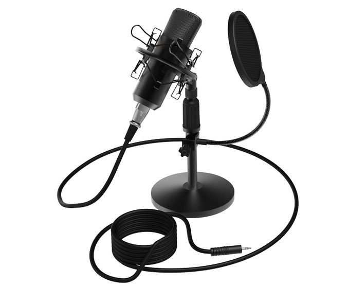 картинка Студийный микрофон Ritmix RDM-175 черный от интернет-магазина itsklad.kz
