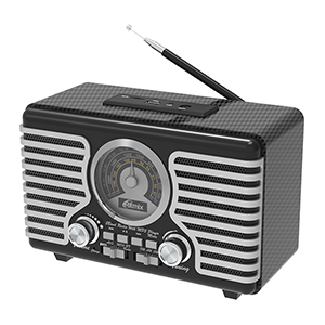 картинка Радиоприемник портативный Ritmix RPR-095 серый от интернет-магазина itsklad.kz