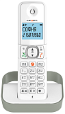 Телефон беспроводной Texet TX-D5605A белый-серый