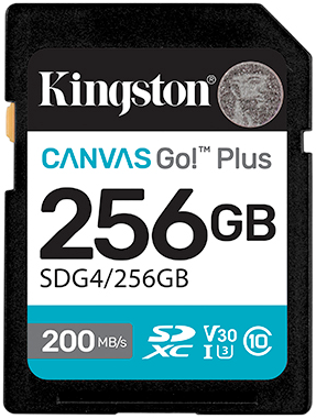 картинка Карта памяти SD 256GB Class 10 U3 Kingston SDG4/256GB от интернет-магазина itsklad.kz