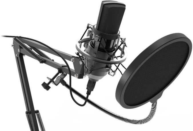 картинка Студийный микрофон Ritmix RDM-169 черный от интернет-магазина itsklad.kz
