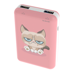 картинка Зарядное устройство Power bank Ritmix RPB-10007 Grumpy Cat от интернет-магазина itsklad.kz