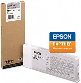картинка Картридж Epson C13T606700 SP-4880 серый от интернет-магазина itsklad.kz
