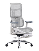 Офисное кресло Sihoo S100-B303-JT серый