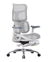 Офисное кресло Sihoo S100-B303-JT серый
