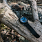 Часы спортивные SUUNTO CORE ALPHA STEALTH