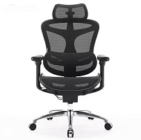 Офисное кресло Sihoo C100-B101 черный