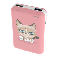 Зарядное устройство Power bank Ritmix RPB-10007 Grumpy Cat Зарядное устройство Power bank Ritmix RPB-10007 Grumpy Cat