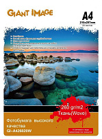 Фотобумага А4 GIANT IMAGE GI-A426020W 20 Л. 260 Г/М2 ткань
