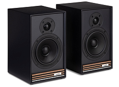 Полочная акустическая система Ruark Sabre-R черный