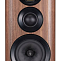 Полочная акустическая система  Wharfedale EVO 4.2  Цвет: Цвет: Орех [WALNUT]