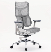 Офисное кресло Sihoo S100-B303-JT серый