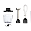 Блендер погружной 3 в 1 Russell Hobbs 27141-56 черный